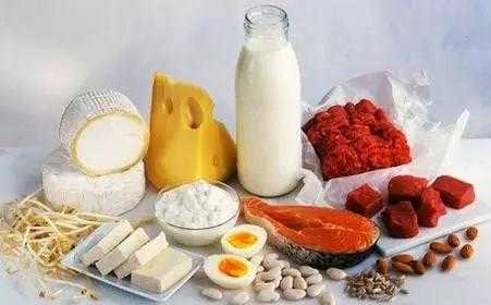 十大高蛋白食物排行榜,哪些食物蛋白质含量高?