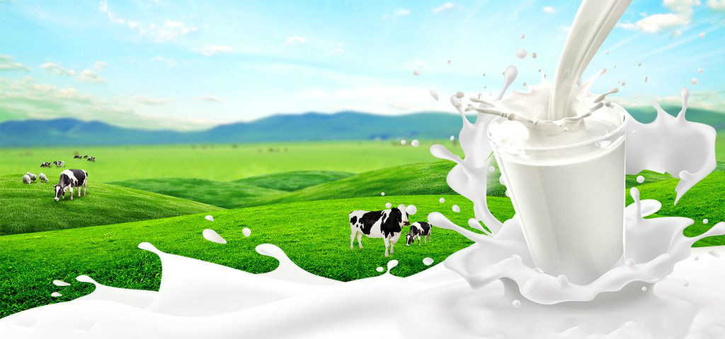 哪个牌子的纯牛奶最好_纯牛奶品牌排行榜前十名