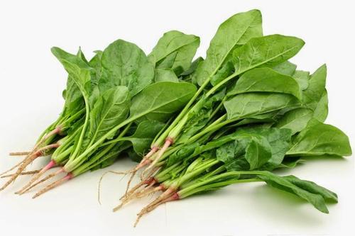 降血糖的蔬菜有哪几种_降血糖最快的十种蔬菜