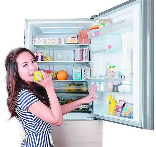 冰箱的温度怎么调才正确_夏天冰箱的温度调多少合适