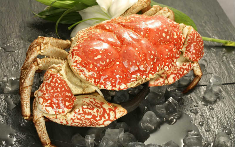 澳洲大闸蟹做法大全_澳洲大闸蟹怎么做好吃