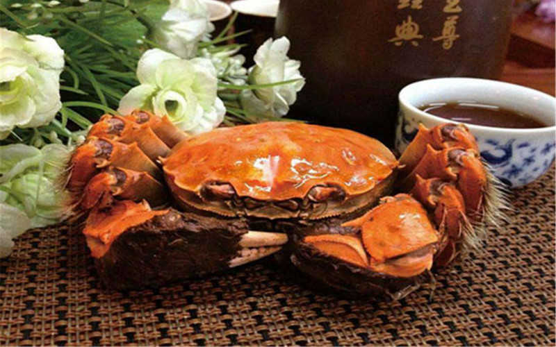 什么时候是吃大闸蟹最好的季节_几月份吃螃蟹最佳