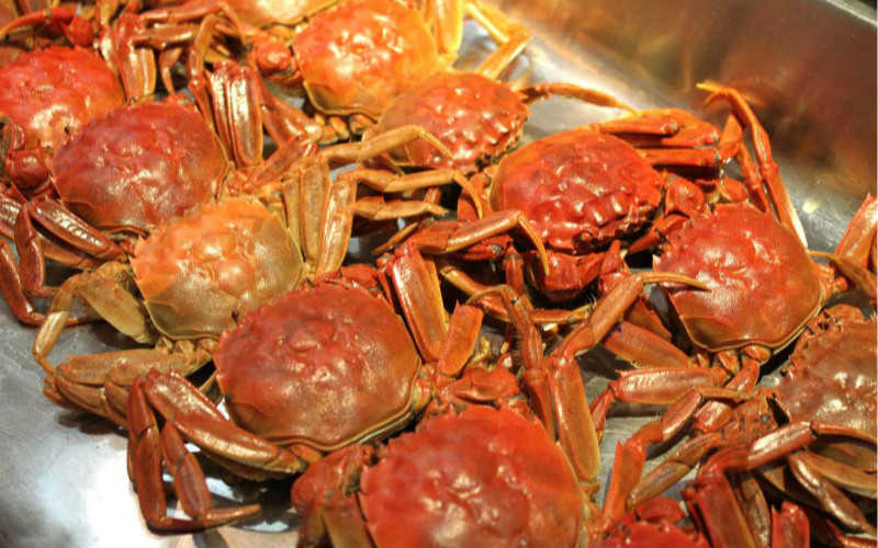 大闸蟹自助餐怎么吃法_自助餐里面的螃蟹能吃吗