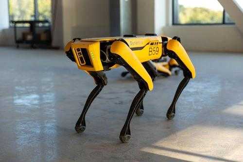 波士顿动力大黄狗机器人怎么样_波士顿大黄狗机器人好不好