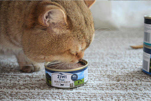 ziwi猫罐头怎么分真伪_巅峰罐头怎么看是不是正品