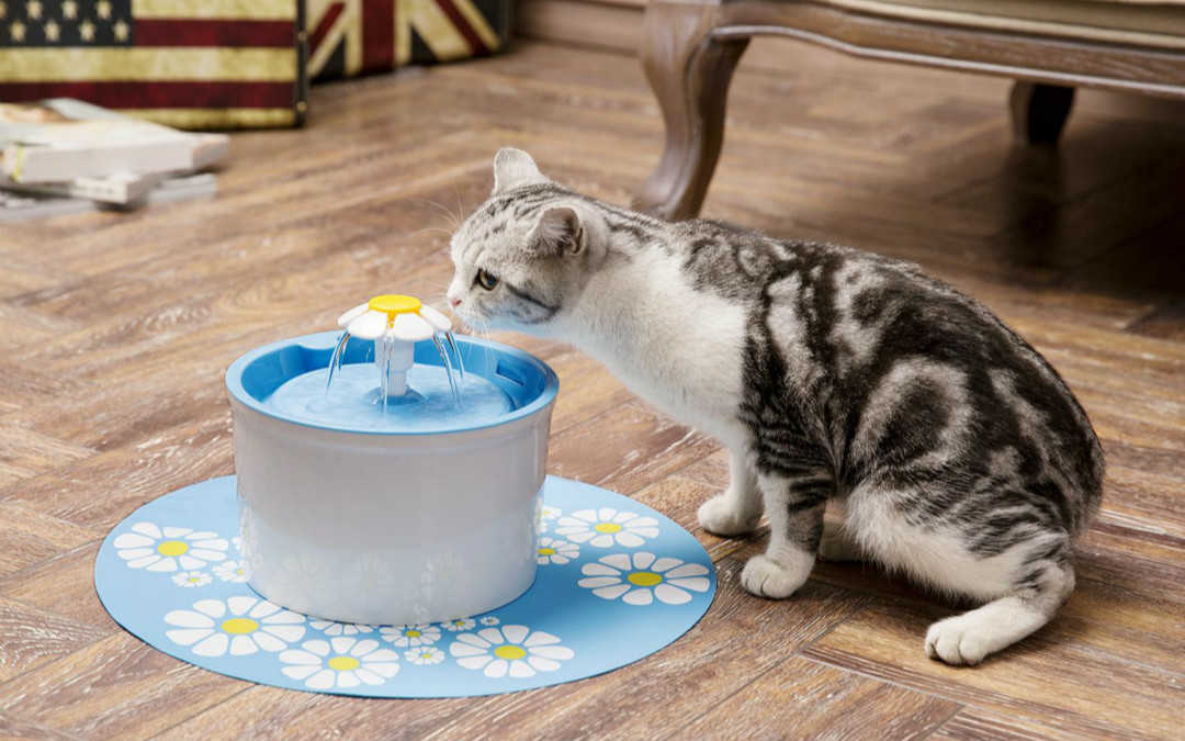 猫咪饮水机哪个牌子好_2021猫咪饮水机品牌排行榜