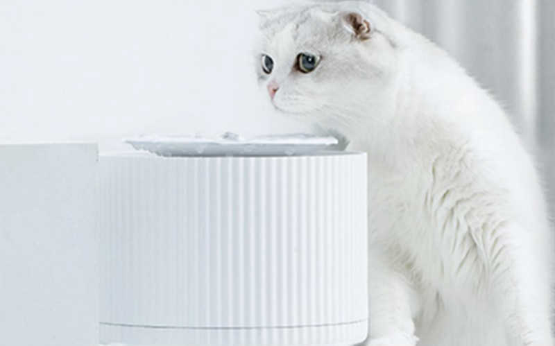 猫咪智能饮水机哪种牌子好_猫咪自动饮水机推荐
