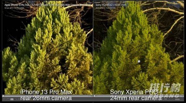 索尼XperiaPro-I与iPhone13Pro拍照对比_哪款拍照效果更好