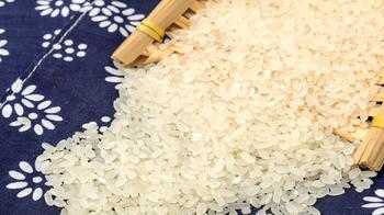 全国十大最好吃的大米排名-大米排行榜前十名