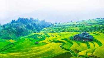 中国十大最美梯田排排榜-国内最美梯田景观在哪里