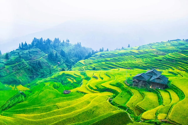中国十大最美梯田排排榜-国内最美梯田景观在哪里