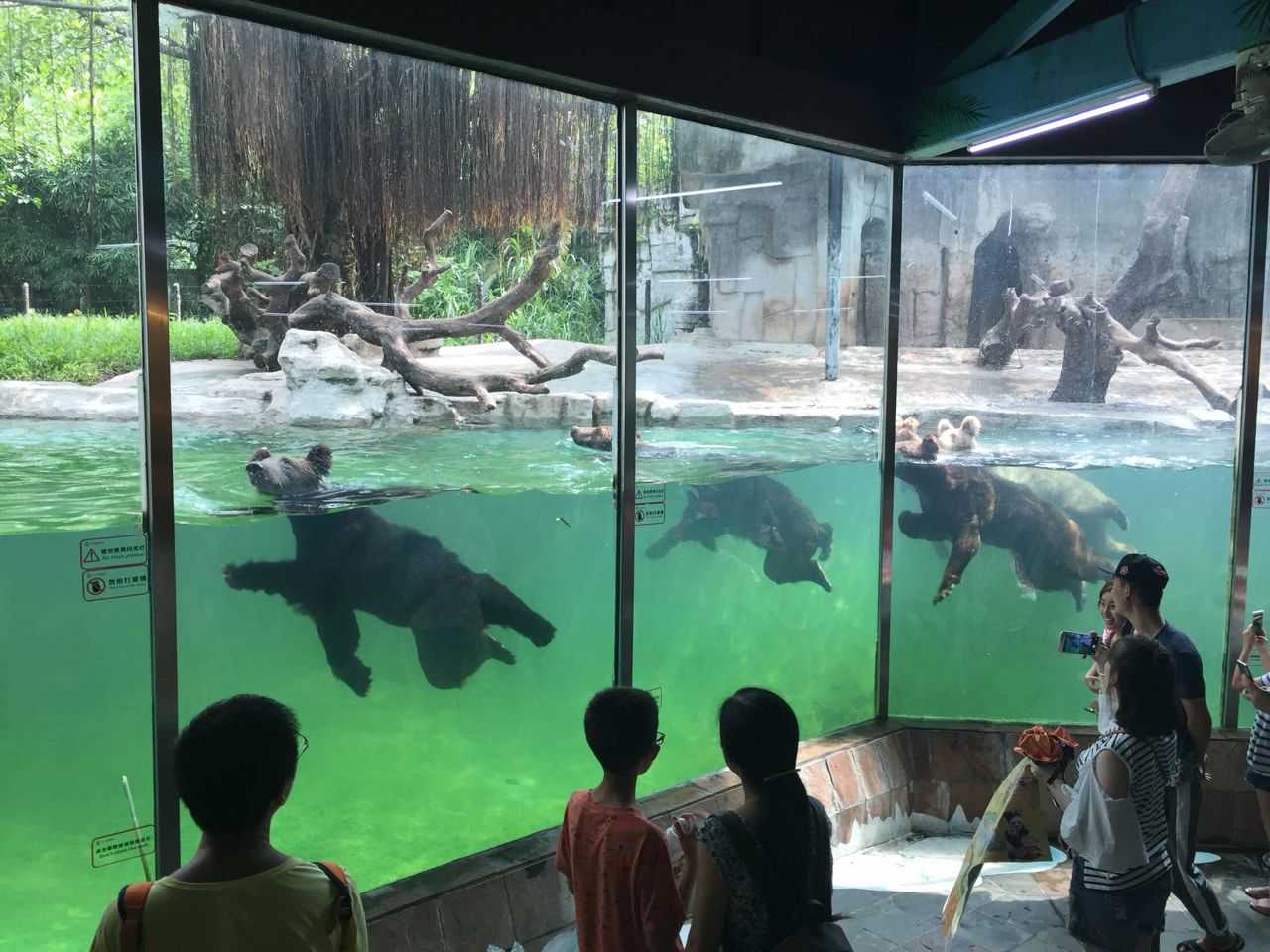 动物园排名前十名-中国最好的动物园排名