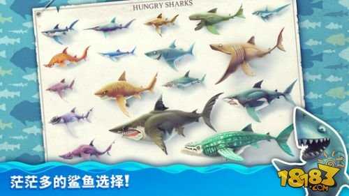饥饿鲨世界国际服正版
