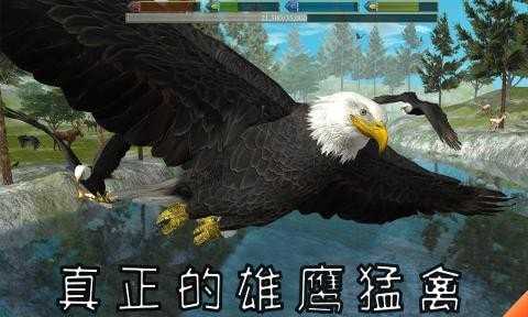 老鹰模拟器2中文版