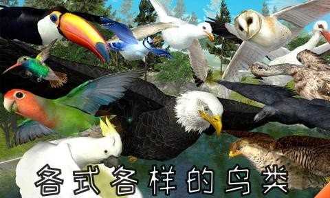 老鹰模拟器2中文版