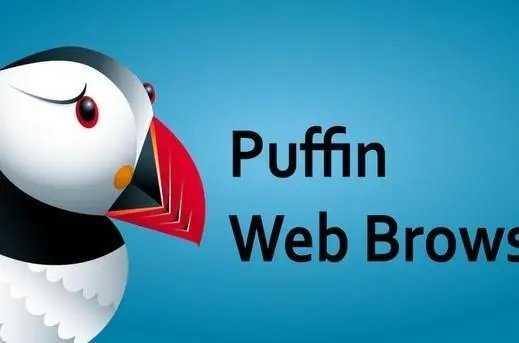 Puffin浏览器2023