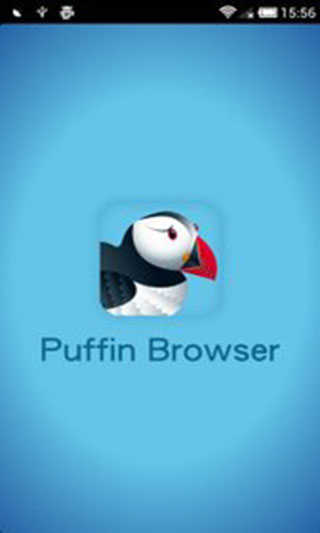 puffin浏览器